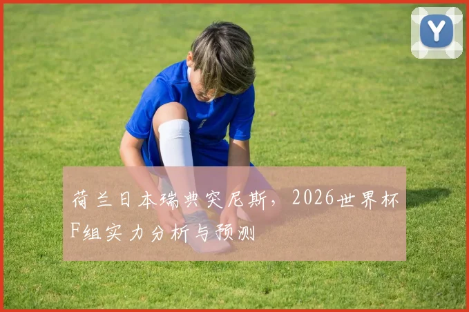 荷兰日本瑞典突尼斯，2026世界杯F组实力分析与预测